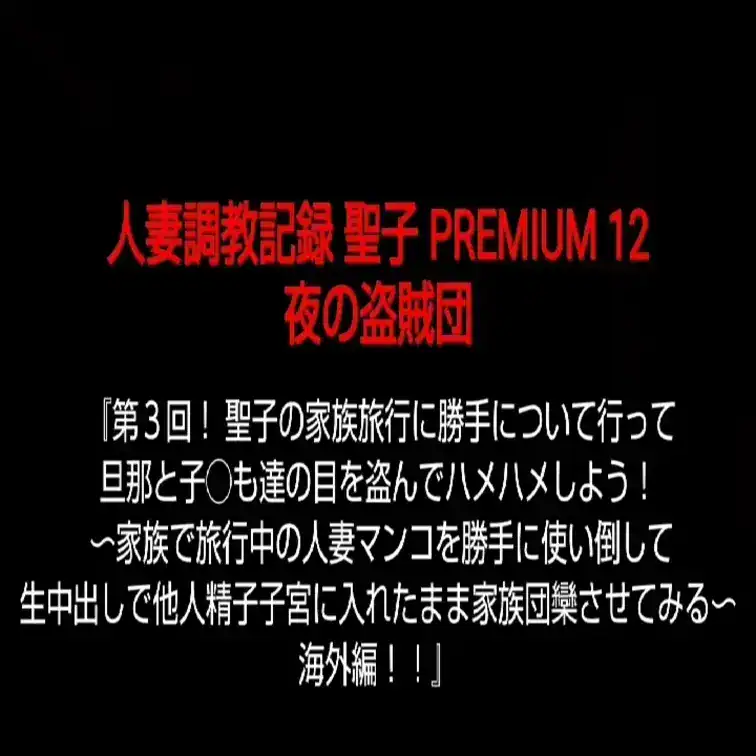 【人妻調教記録 聖子 PREMIUM 12】